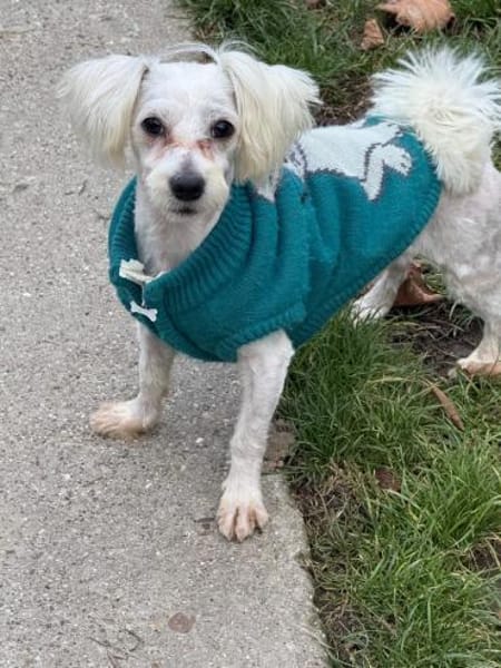 Ich heiße Casper... mit Video