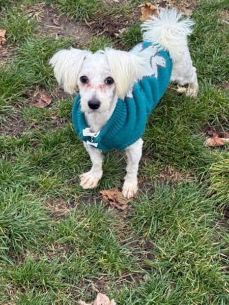 Ich heiße Casper... mit Video