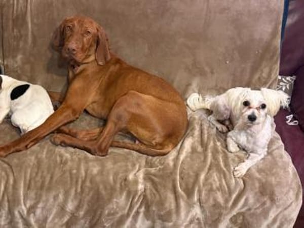 Ich heiße Casper... mit Video