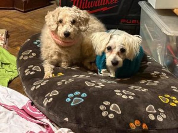 Ich heiße Casper... mit Video