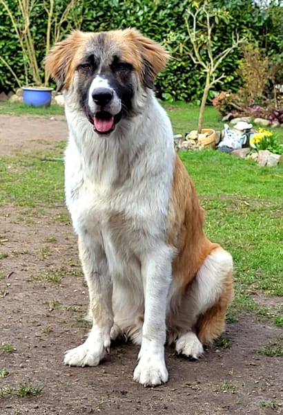 Martin sucht tolle Familie