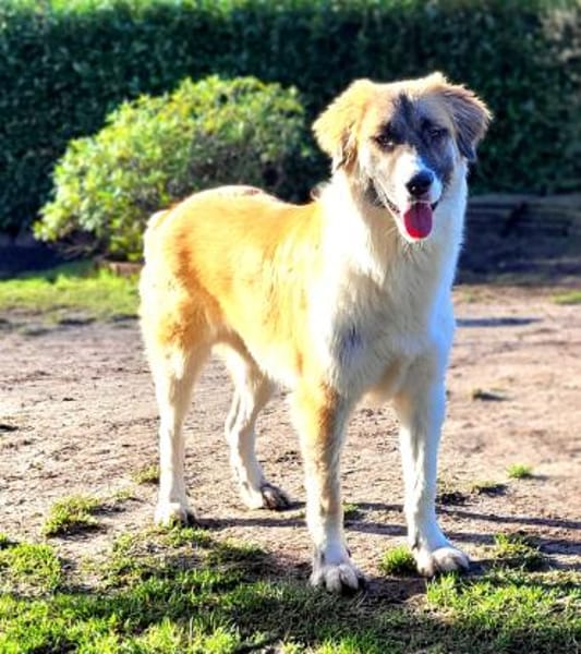 Martin sucht tolle Familie