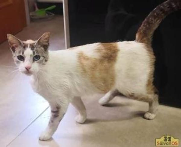 Ruth - Verschmuste Einzelprinzessin