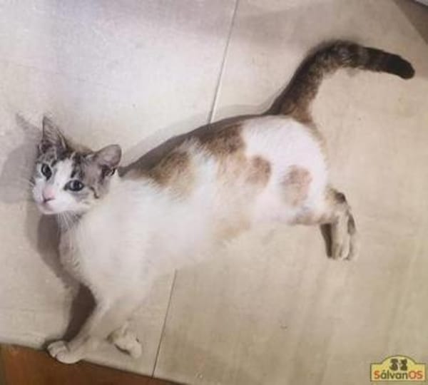 Ruth - Verschmuste Einzelprinzessin