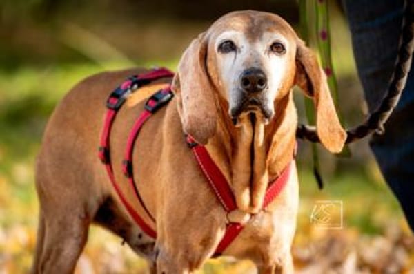 Rei möchte sein Leben genießen