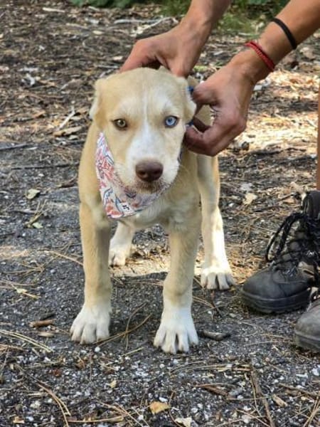 Sensible freundliche SADY sucht ♥