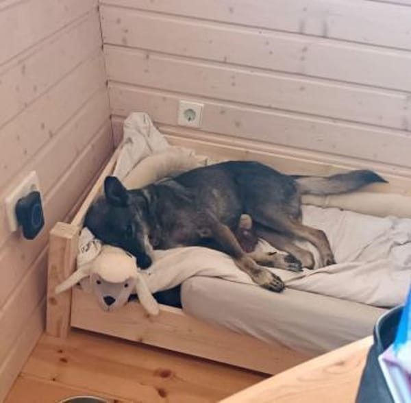 Sarah bereits in Deutschland