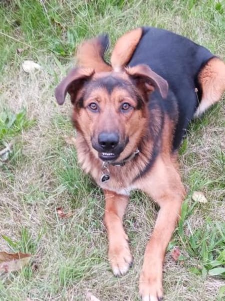 Torin 💙💙💙 bildhübscher Bub