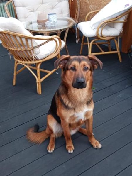 Torin 💙💙💙 bildhübscher Bub