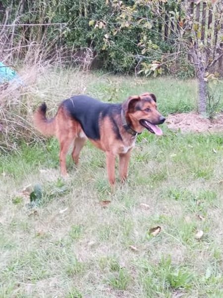 Torin 💙💙💙 bildhübscher Bub