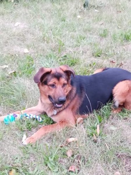 Torin 💙💙💙 bildhübscher Bub