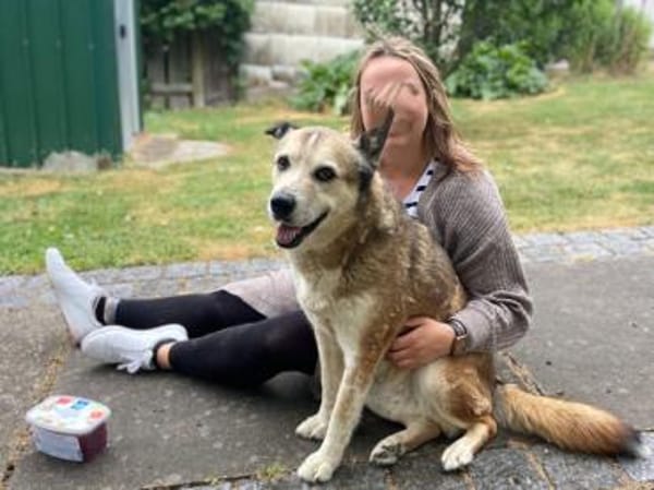 Menschenbezogene Rua sucht Zuhause