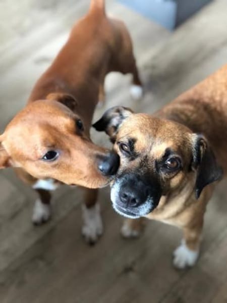 RAYA ❤ ein Schatz, Kranenburg