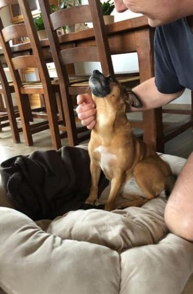 RAYA ❤ ein Schatz, Kranenburg