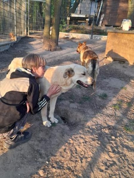 Fröhlicher, freundlicher Fermin sucht