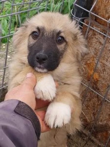 Sam 26 cm (Nov 25) Pflegestelle