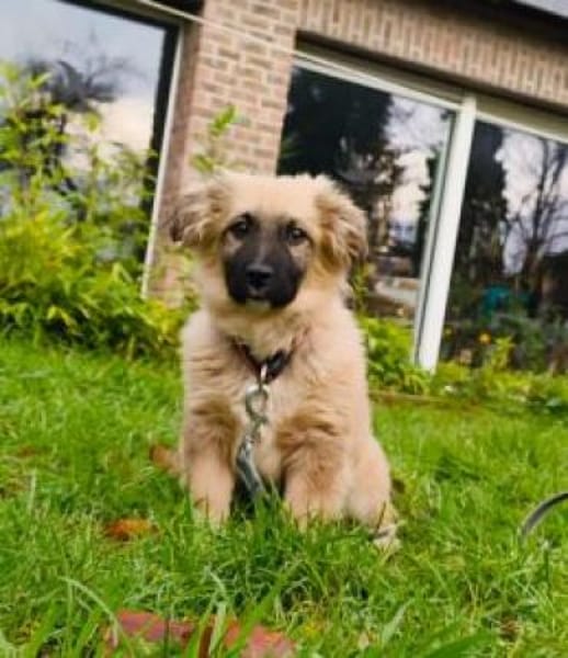 Sam 26 cm (Nov 25) Pflegestelle