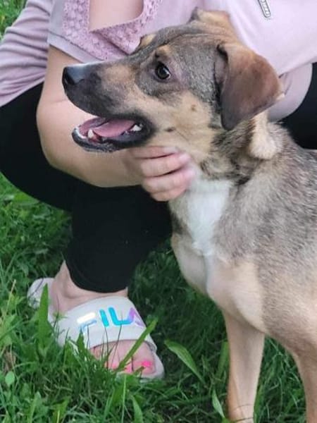 NERO voller Hoffnung 🆘🆘🆘