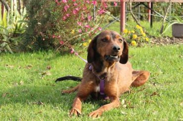 Romy sucht ihre Lieblingsmenschen...