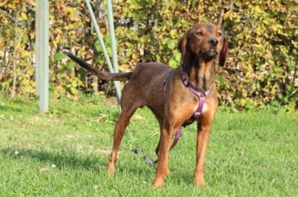 Romy sucht ihre Lieblingsmenschen...