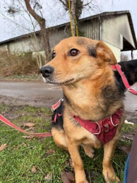 BENJI möchte gesehen werden