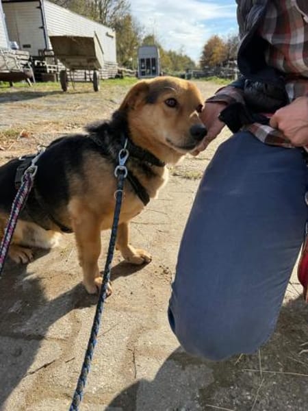 BENJI möchte gesehen werden