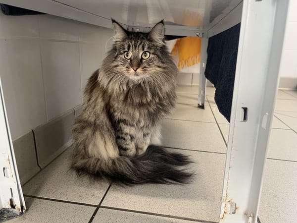 Trésor (en cours d'adoption)