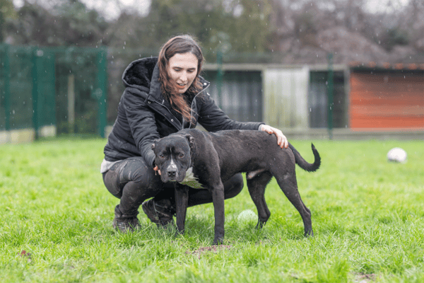 TURNER (réservé) OAA19720