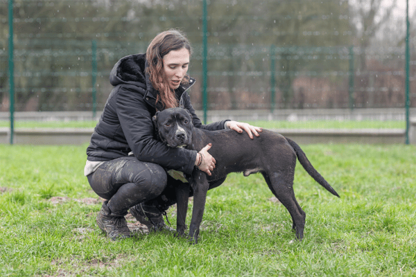 TURNER (réservé) OAA19720