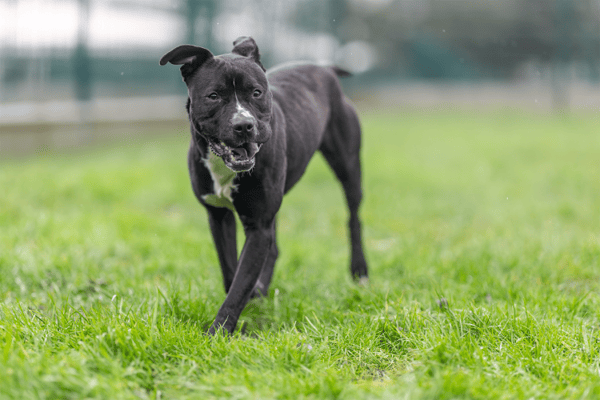 TURNER (réservé) OAA19720