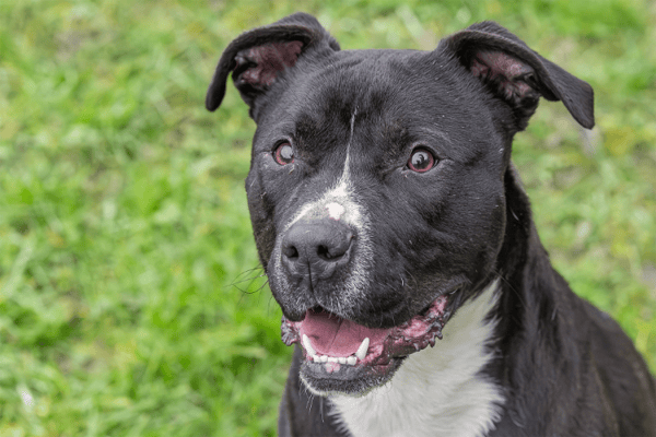 TURNER (réservé) OAA19720