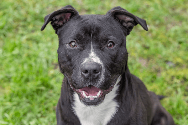 TURNER (réservé) OAA19720