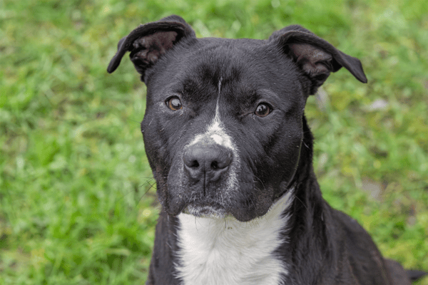 TURNER (réservé) OAA19720