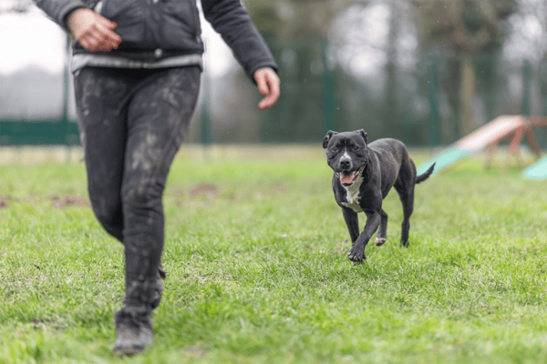 TURNER (réservé) OAA19720