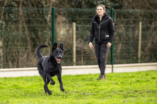 KALI (réservée) OAA19674