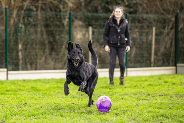 KALI (réservée) OAA19674