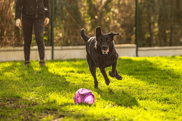 KALI (réservée) OAA19674