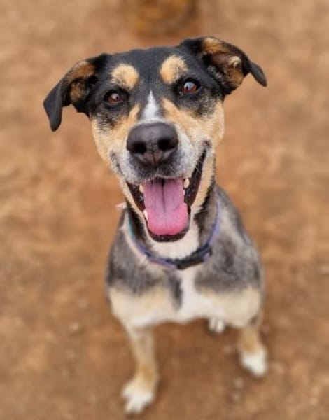 Tata ist immer gut gelaunt