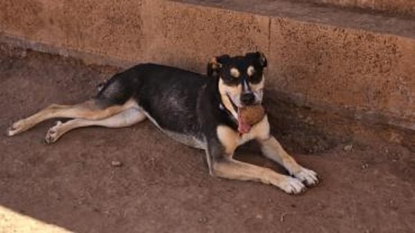 Tata ist immer gut gelaunt