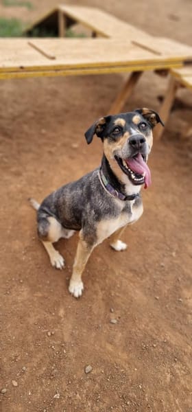 Tata ist immer gut gelaunt