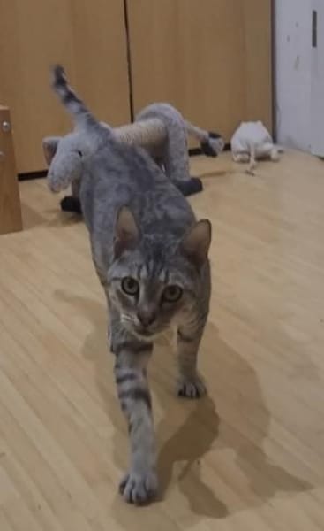 Liebe Tonja sucht ihre Menschen