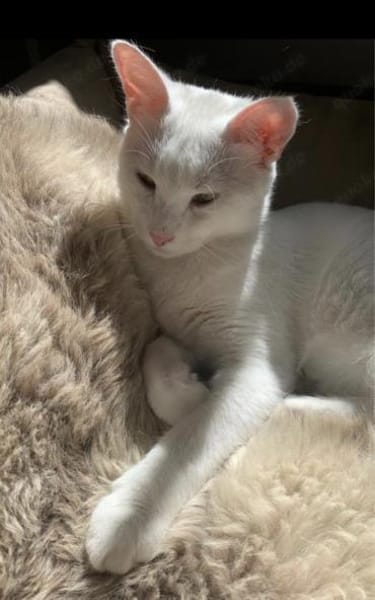 Geschwister Frieda und Mona