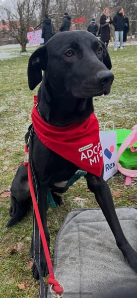 Benni - kleiner Charmeur