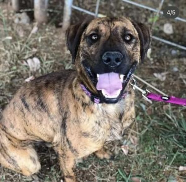 Abenteuer Bruno sucht seine Familie!