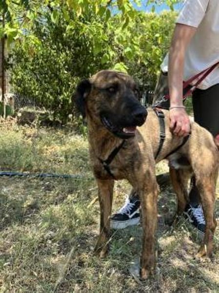 Abenteuer Bruno sucht seine Familie!