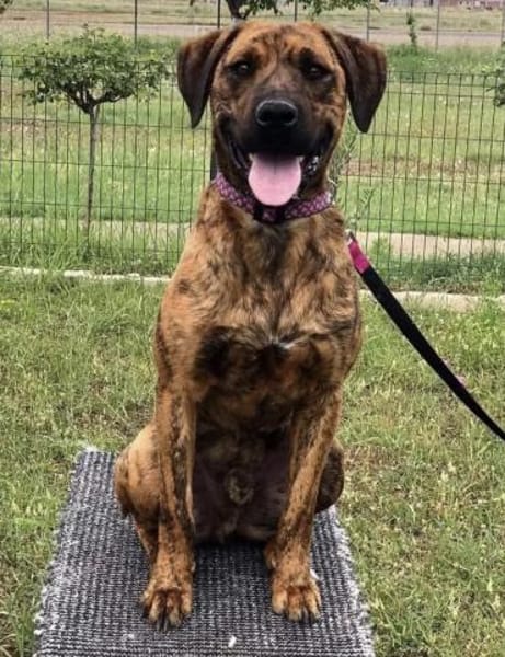 Abenteuer Bruno sucht seine Familie!