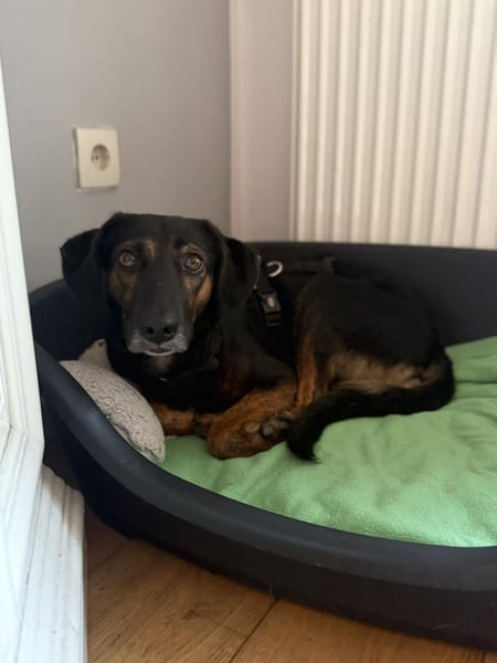 Rea sucht ihre Menschen