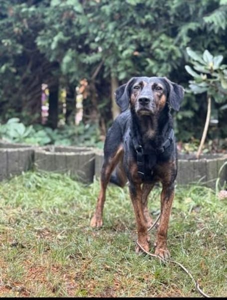 Rea sucht ihre Menschen