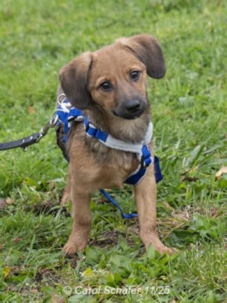 Mila ist aufgeschlossen und nett