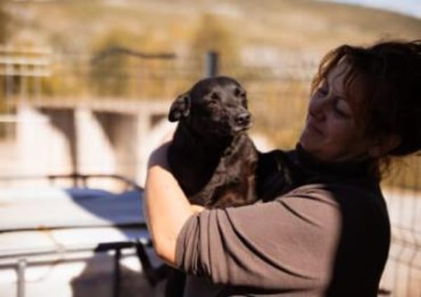 Zora in 90530 Wendelstein